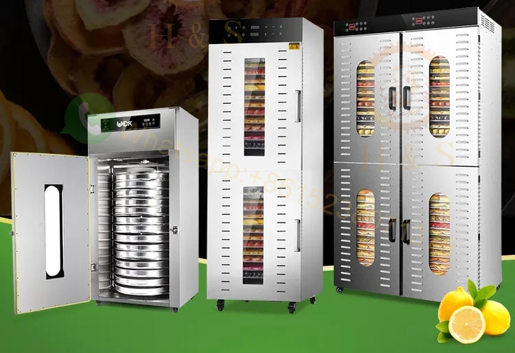 가정용 전기 식품 건조기 (과일 및 채소 건조 트레이  - Dehydrator Tray Electric 리뷰 및 가격
